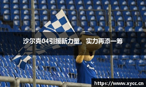 沙尔克04引援新力量，实力再添一筹