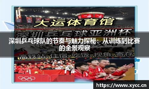 深圳乒乓球队的节奏与魅力探秘：从训练到比赛的全景观察