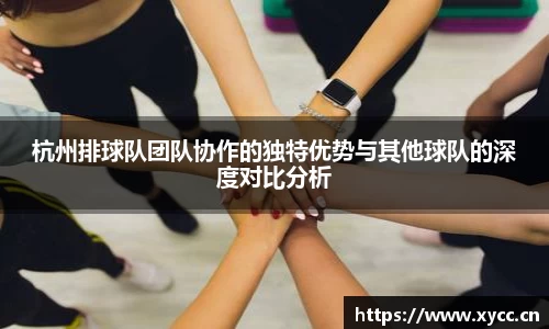 杭州排球队团队协作的独特优势与其他球队的深度对比分析