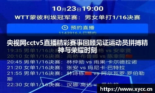 央视网cctv5直播精彩赛事回顾见证运动员拼搏精神与荣耀时刻