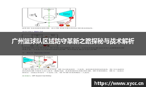 广州篮球队区域防守革新之路探秘与战术解析