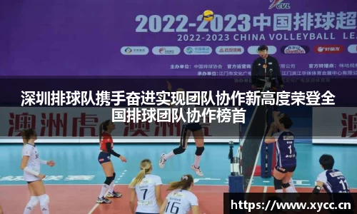 深圳排球队携手奋进实现团队协作新高度荣登全国排球团队协作榜首