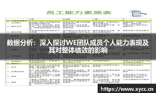 数据分析：深入探讨WE团队成员个人能力表现及其对整体绩效的影响