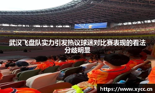 武汉飞盘队实力引发热议球迷对比赛表现的看法分歧明显