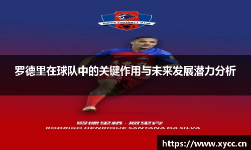 罗德里在球队中的关键作用与未来发展潜力分析